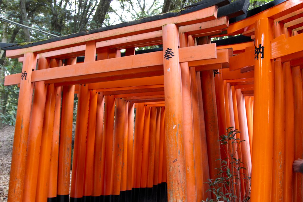 伏見稻荷大社千本鳥居,京都代表性朱紅鳥居景觀