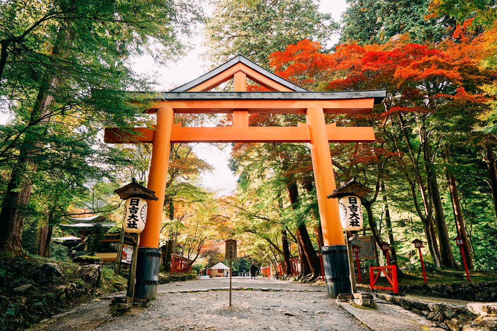 日吉大社山王鳥居