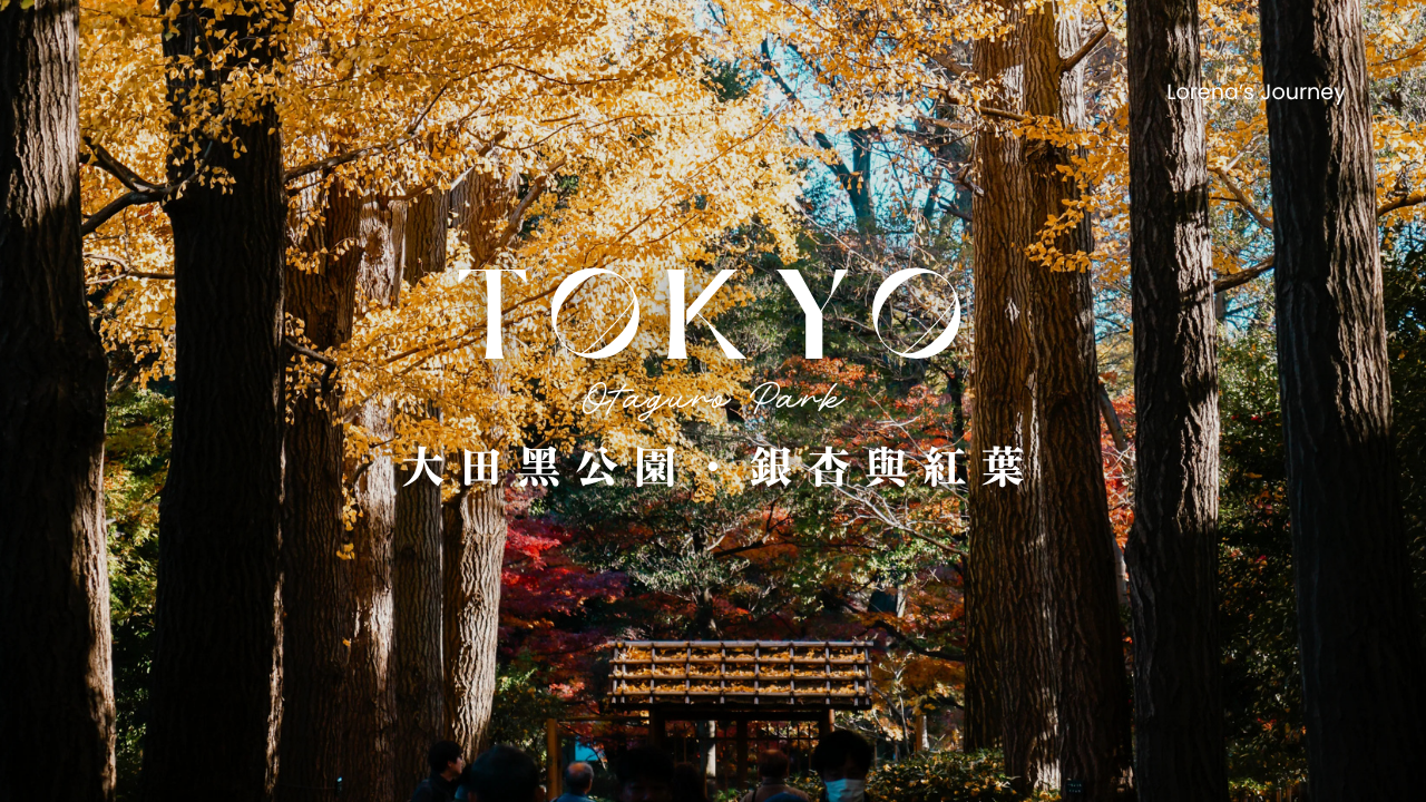 東京大田黑公園｜荻窪住宅區裡的百年銀杏大道與秋日紅葉